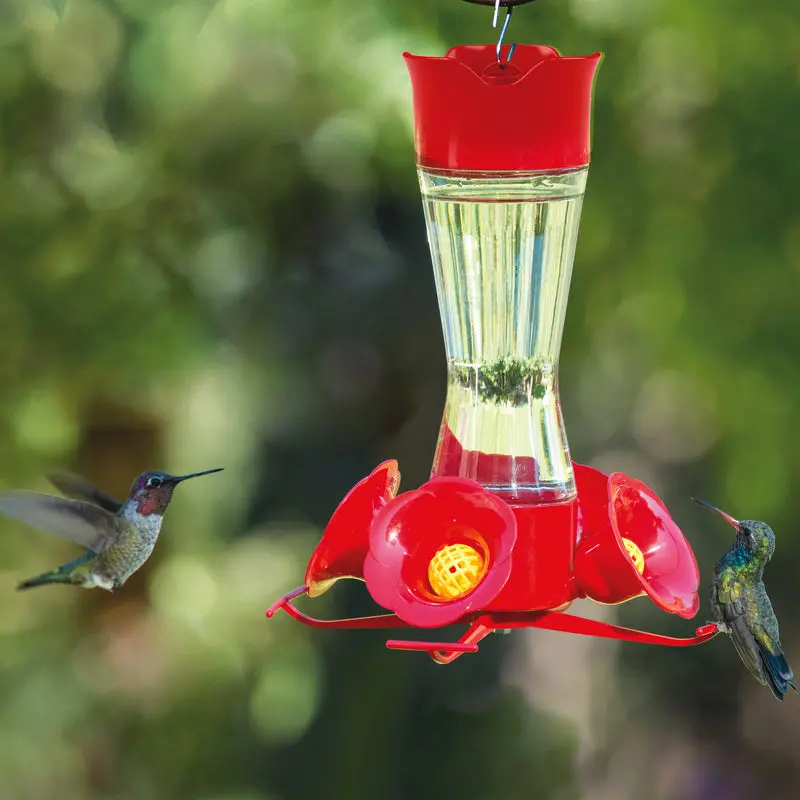 8-Ounce Hummingbird Feeder With Ant Moat And Perch 1