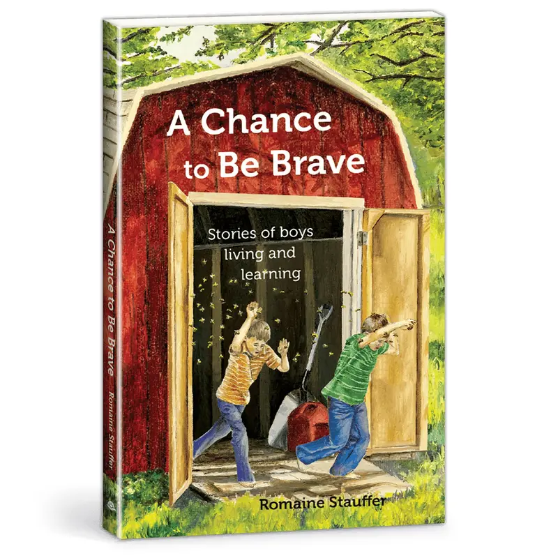 A Chance To Be Brave – Inspirational Christian Devotional Book (265525) 1