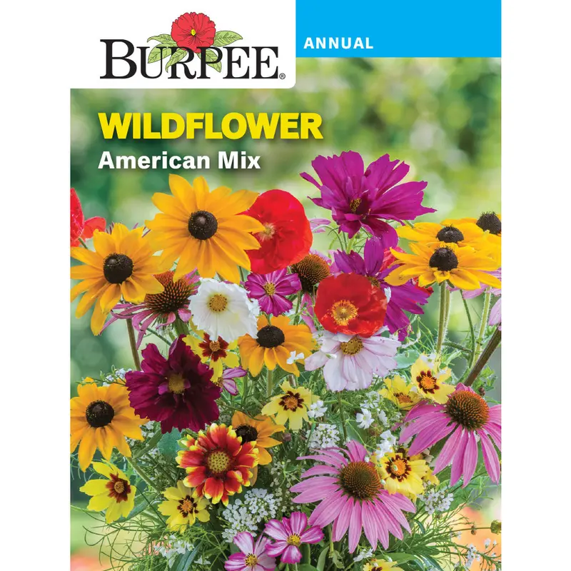 American Wildflower Seed Collection – Regional Native Species Mix 1