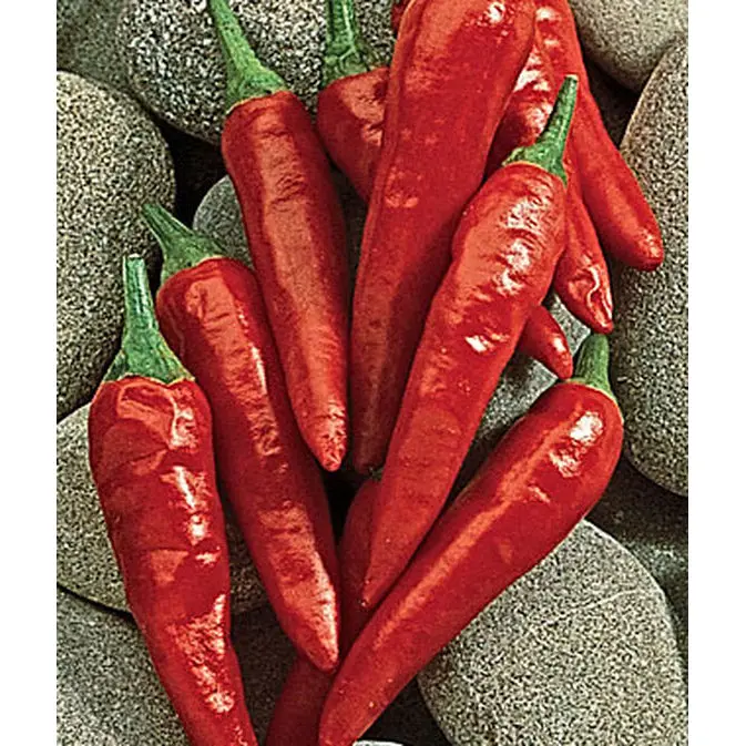 Anaheim Chili Pepper Seeds – Heirloom Hot Variety Pack 1