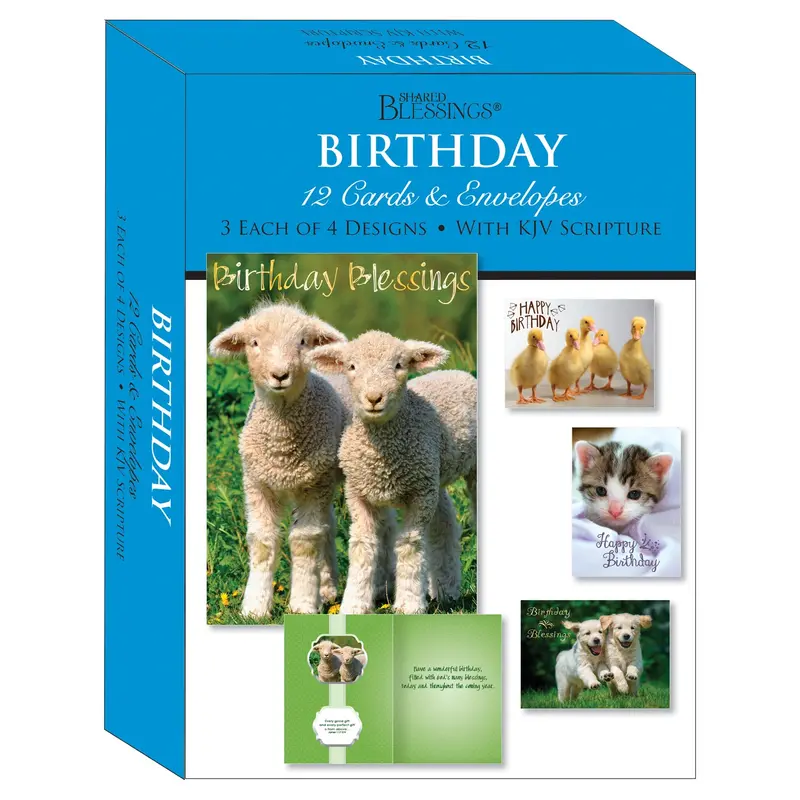 Assorted Birthday Greeting Card Box Set – Variety Pack (Sbeg22291) 1