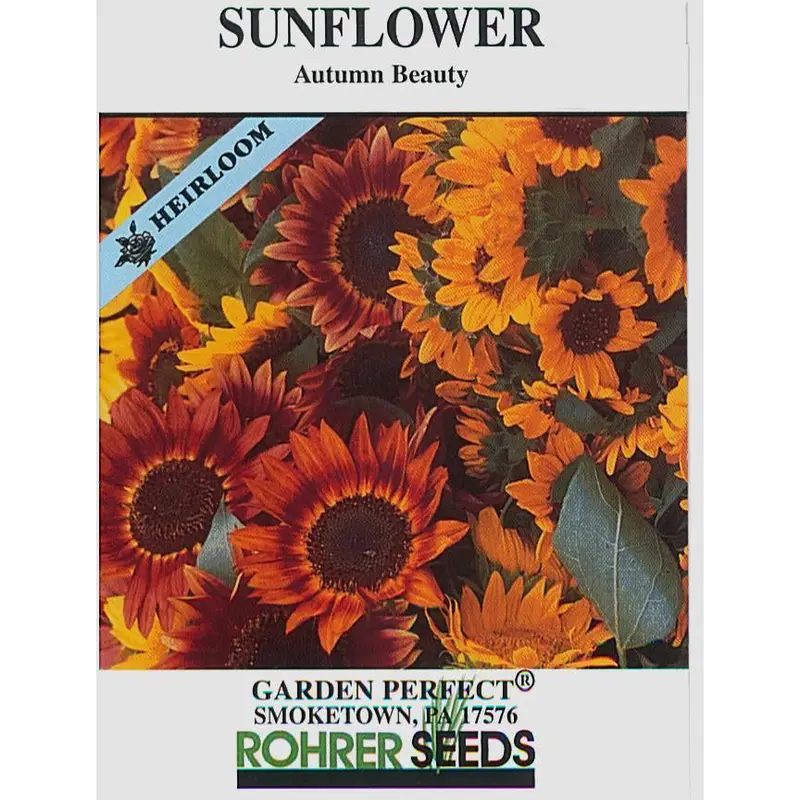 Autumn Beauty Sunflower Seed Collection – Non-Gmo Garden Pack 1