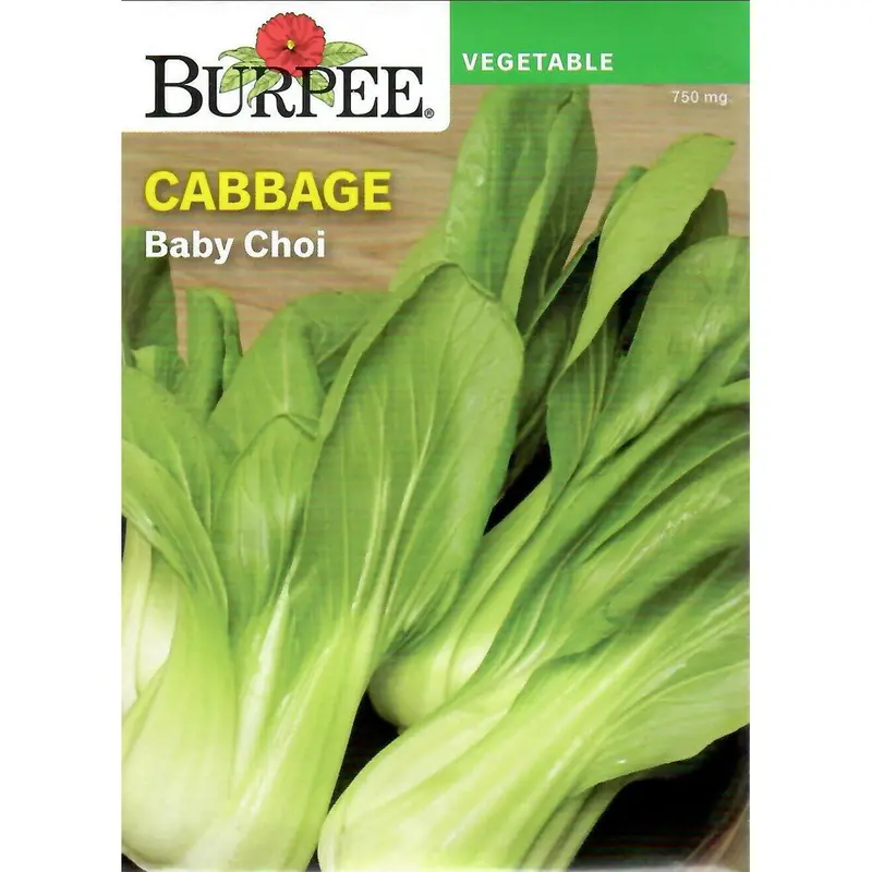 Baby Choi Cabbage Seeds – Mini Asian Greens, Quick-Harvest Pack 1