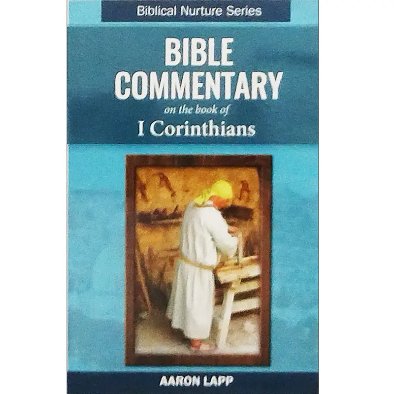 Bible Commentary On 1 Corinthians – Insightful Exegesis And Application (Isbn 182) 1