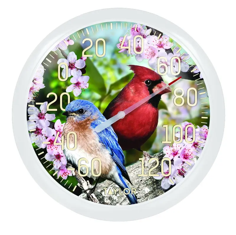 Birds & Blossoms Outdoor Thermometer – Decorative Weather Gauge With Dual Scale (Sku 6733) 1