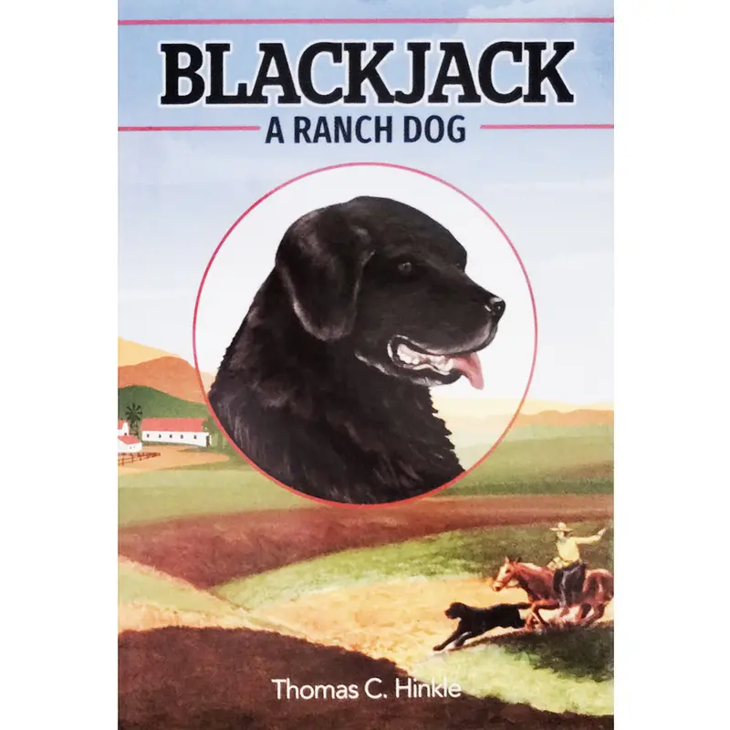 Blackjack – Action-Packed Adventure Story (Product Code 65747) 1