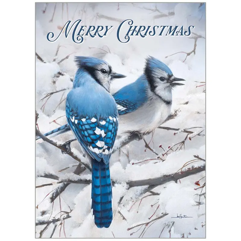 Blue Jays In Winter Scene Greeting Cards – Hbx98046 1