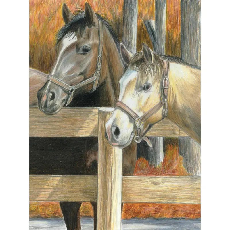 Buck'S Pal Color-By-Number Pencil Art Kit 1