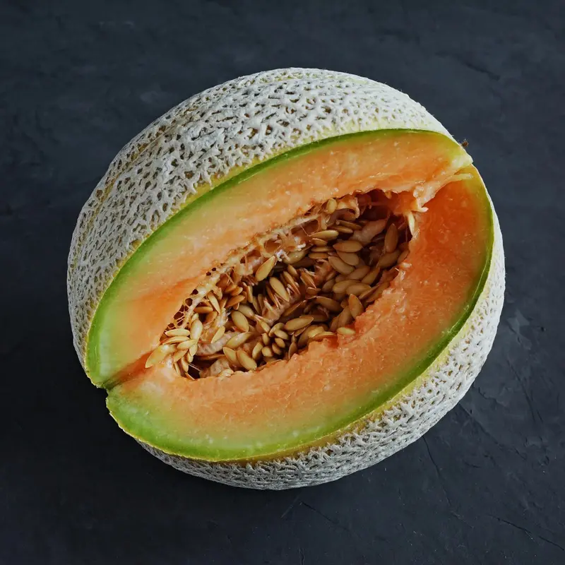 Burpee Hybrid Cantaloupe Seeds – Trusted, Vigorous, Flavorful Netted Melon Type 1