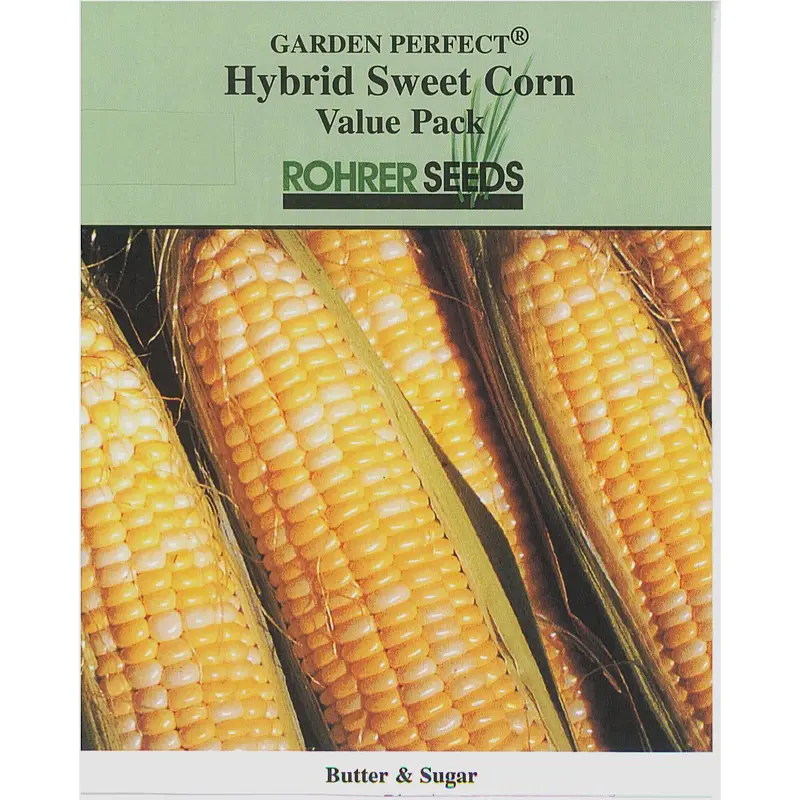 Butter & Sugar Sweet Corn Seed Pack – Popular Bicolor Home Garden Variety 1