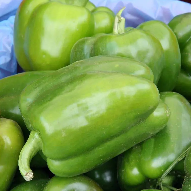 California Wonder Bell Pepper Seeds – Sweet, Blocky, Thick-Walled, Garden Standard 1