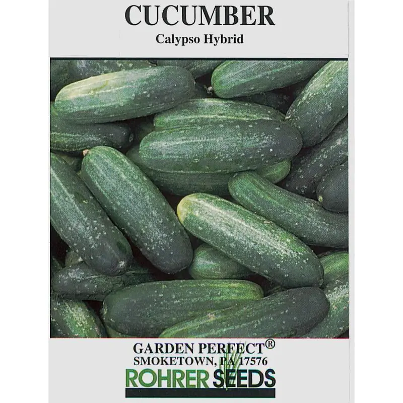 Calypso Hybrid Cucumber Seeds – Early, Disease-Resistant Pickling Variety 1