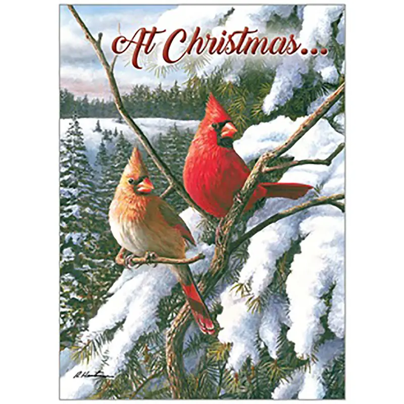 Cardinal-Themed Christmas Card Pack – Classic Red-Bird Holiday Greetings In Curated Box 1