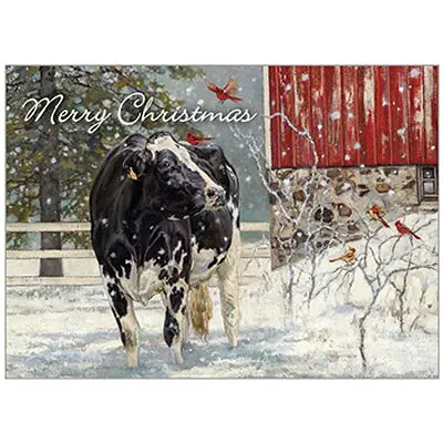 Cardinal Visitors Christmas Card Collection – 12 Elegant Boxed Holiday Greetings (Style Hbx69224) 1