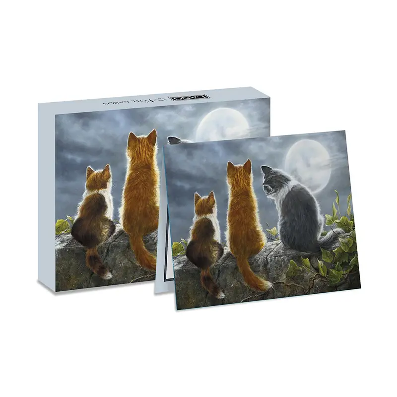 Cat Whispers Boxed Note Cards – 20 Illustrated Stationery Cards Celebrating Feline Companionship (0105166) 1