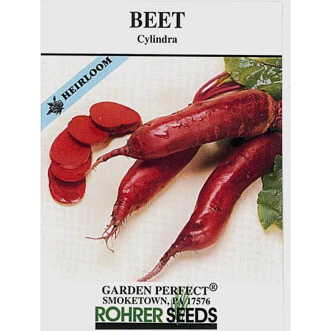 Cylindra Beet Seeds – Uniform, Cylindrical Roots For Slicing 1