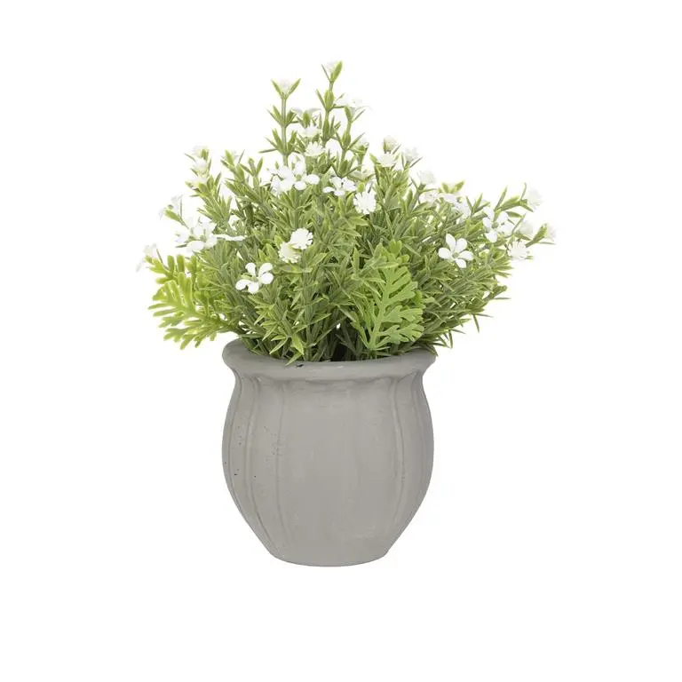 Delicate Scalloped-Pot Floral Mini Arrangement – 231-7034 1