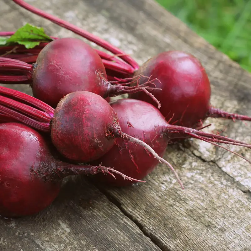 Detroit Dark Red Beet Seeds – Heirloom Vegetable Variety For Home Gardens 1
