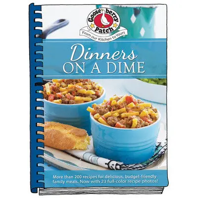 Dinners On A Dime: Budget-Friendly, Flavor-Packed Family Meals 1