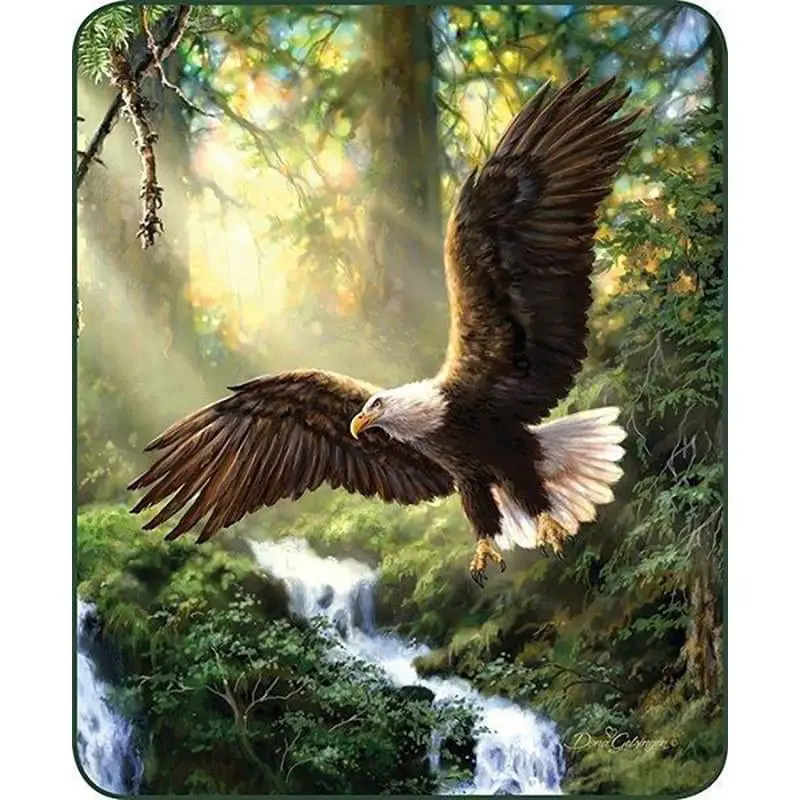 Eagles Flight Plush Throw Blanket – Queen Size 1