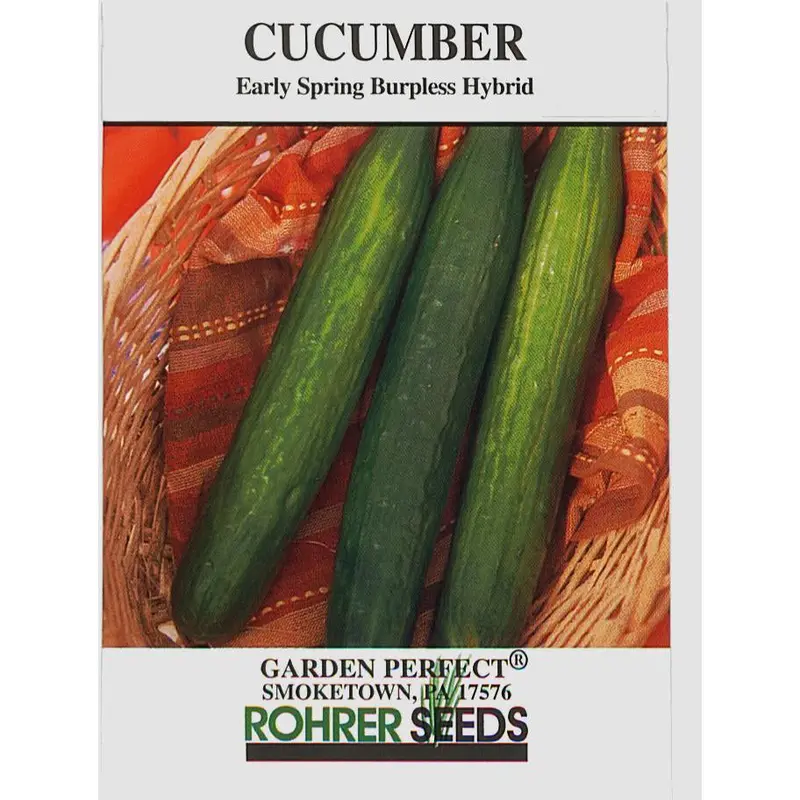 Early Spring Burpless Cucumber Seeds – Cold-Tolerant, Non-Bitter Slicer 1