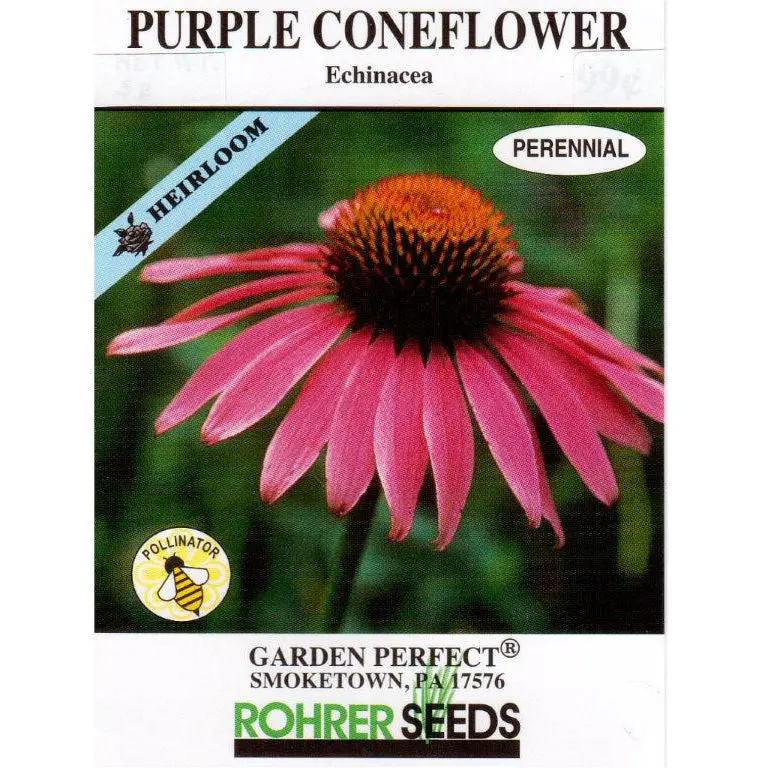 Echinacea Purple Coneflower Seeds – Drought-Tolerant Native Perennial 1