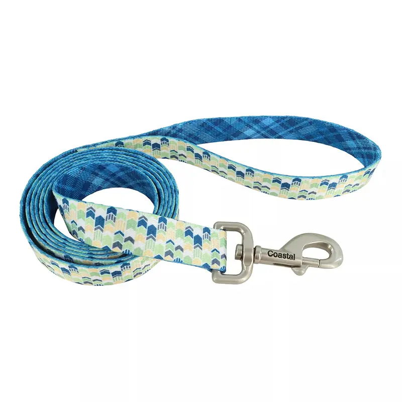 Elegant Adjustable Dog Leash For Everyday Walks 1