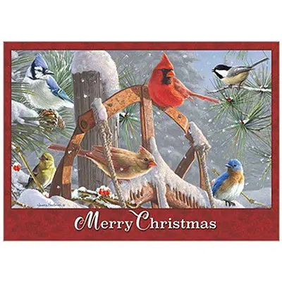 Fresh Snow Christmas Cards – Winter-Themed Boxed Greeting Set (Hbx79199) 1