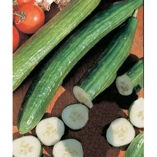 Garden Sweet Hybrid Cucumber Seeds – Sweet, Burpless Slicing Cucumber 1