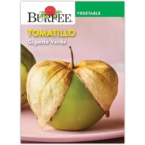 Gigante Verde Tomatillo Seeds – Heirloom, High-Yield Vegetable Variety 1