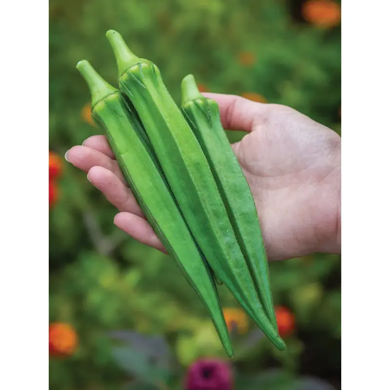 Go Big Okra Seeds – High-Yield Garden Variety Pack 1