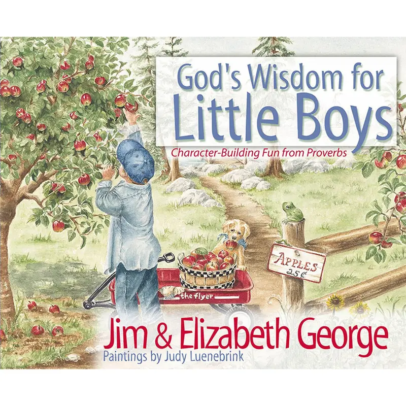 God'S Wisdom For Little Boys – Biblical Guidance For Young Boys (Isbn 9-0824-5) 1