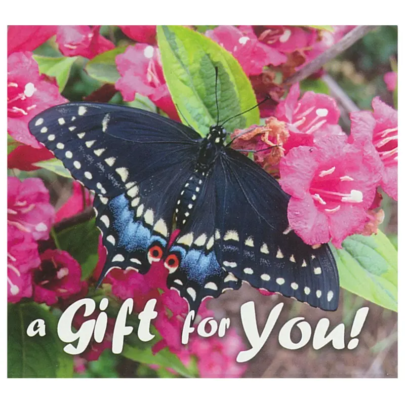 Good’S Store Gift Card Encased In Black Swallowtail Butterfly Holder 1
