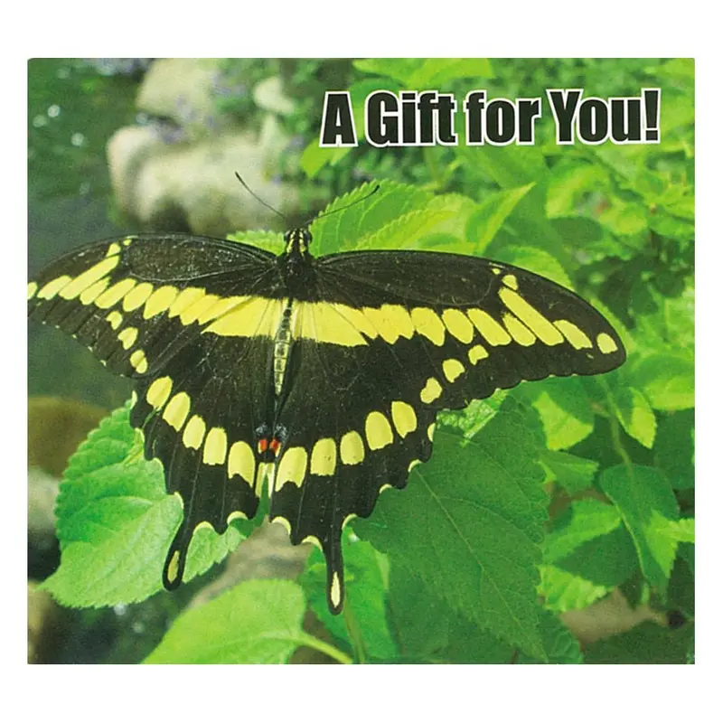 Good'S Store Gift Card In Butterfly & Green Leaves Holder – Nature-Inspired Elegant Design 1