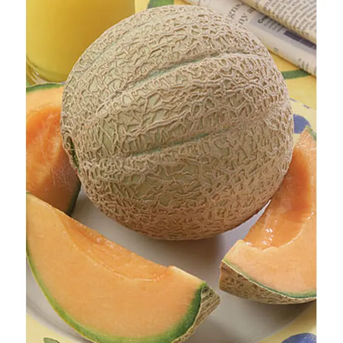 Hearts Of Gold Cantaloupe Vegetable Seeds – Heirloom Variety 56408 1