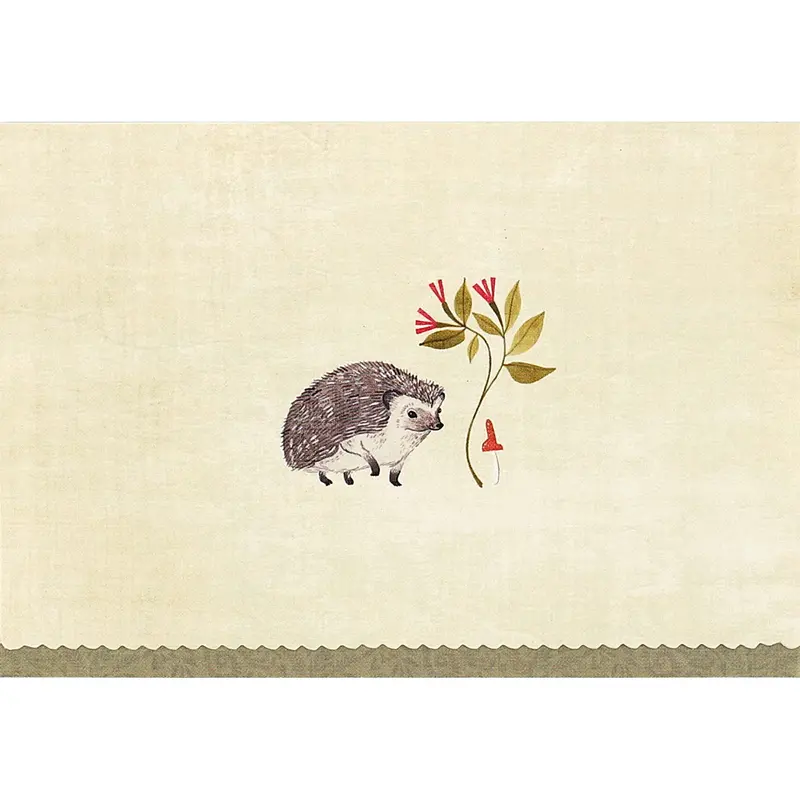 Hedgehog Illustrated Everyday Note Cards In Thoughtful Boxed Set 1