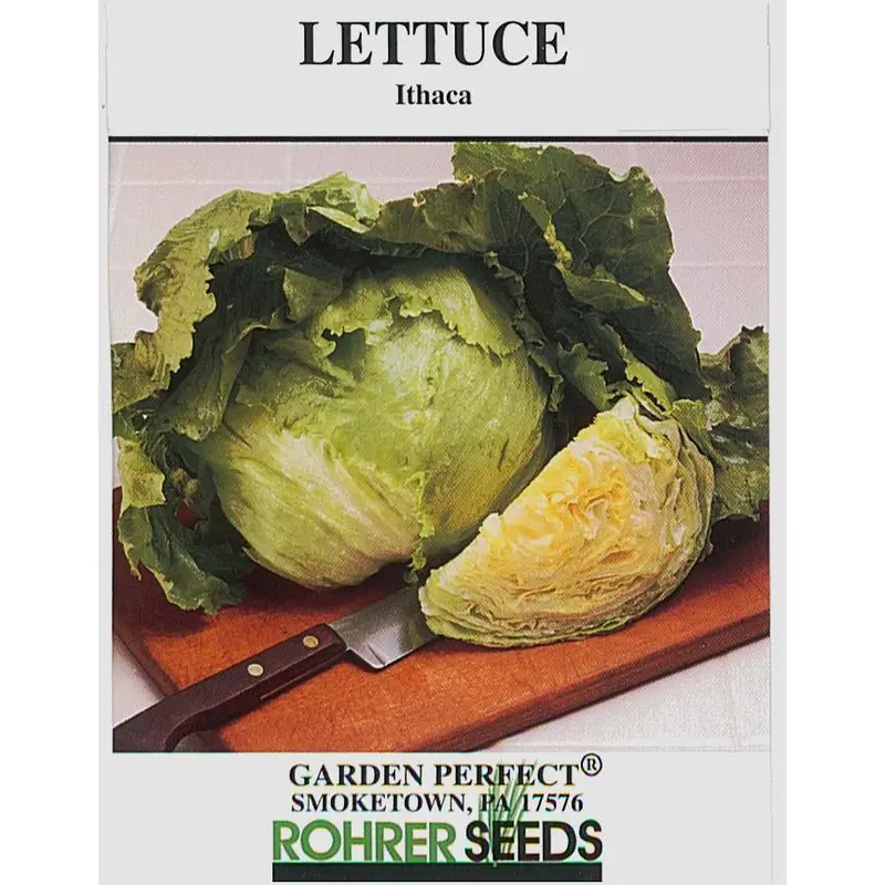Ithaca Mto Lettuce Seeds – Compact, Upright, Heat-Tolerant Romaine-Type 1