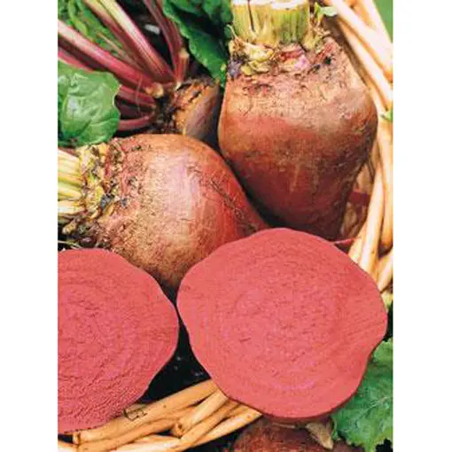 Lutz’S Green Leaf Beet Seeds – Dual-Purpose: Greens & Storage Roots 1