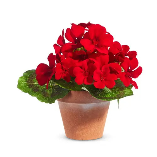 Miniature Red Geranium In Potted Planter – Realistic Artificial Houseplant (Model 4402201) 1