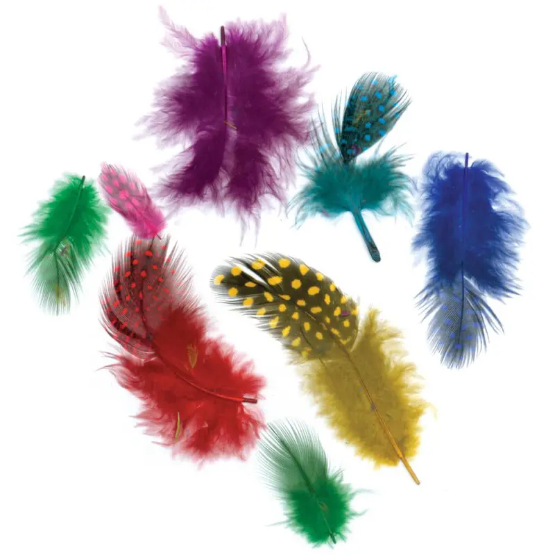 Natural Guinea Hen Feather Assortment – Craft & Decor Use B352 1