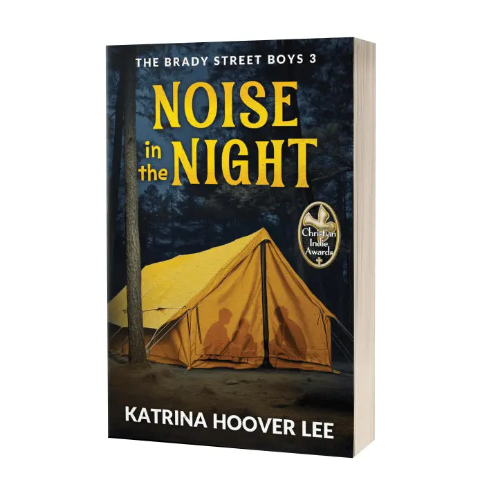Noise In The Night – Early Chapter Book By Katrina Hoover Lee (Isbn 9781735903583) 1