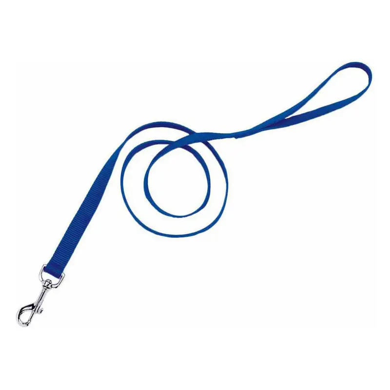 Nylon Dog Leash - Single-Ply, Blue, 6 Ft × 1 In, 00906-Blu06 1