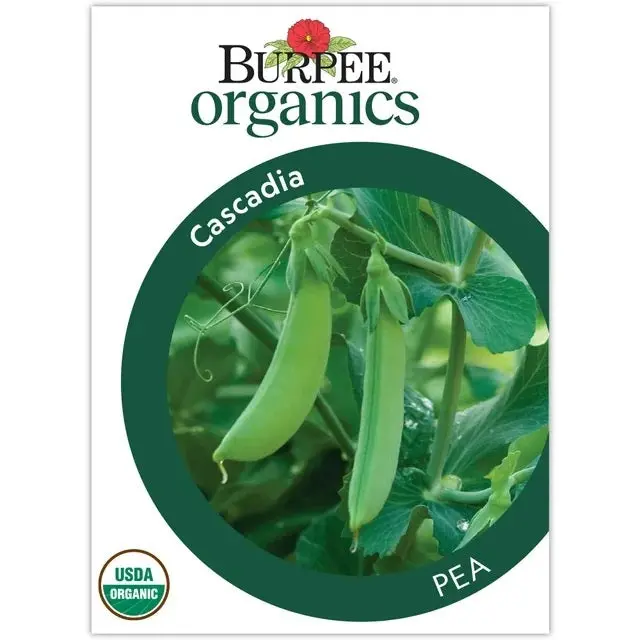 Organic Cascadia Snap Pea Seeds (Certified, Non-Gmo) 1