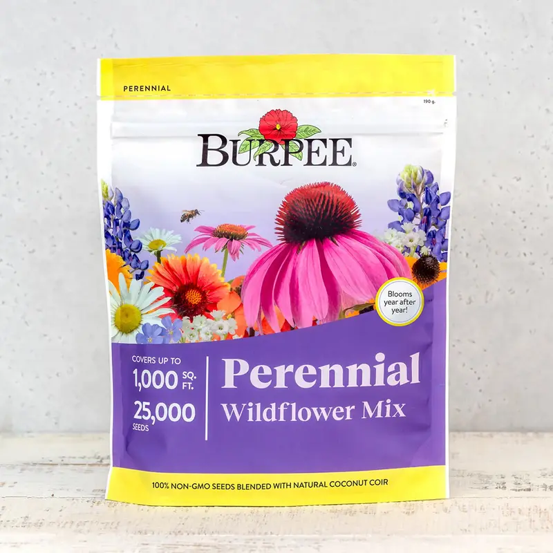 Perennial Wildflower Seed Mix – Long-Blooming Native Garden Blend 1