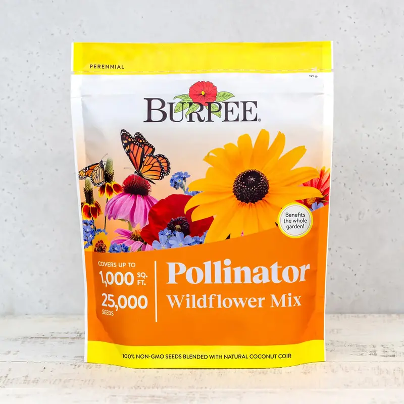 Pollinator Wildflower Seed Collection – Eco-Conscious Mix For Bees, Butterflies & More 1
