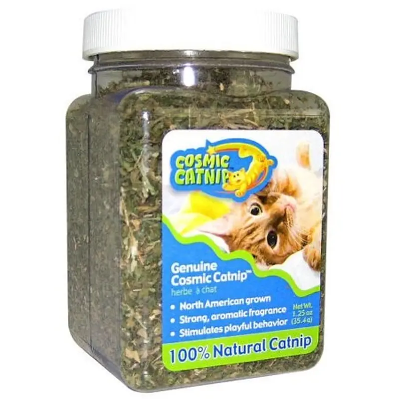 Premium 1.25 Oz Jar Of North American-Grown Catnip 1