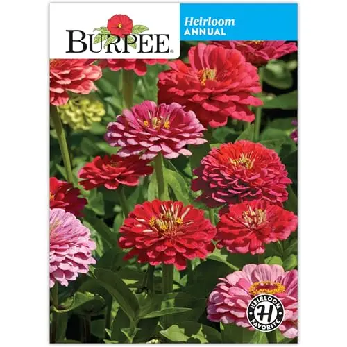Premium Zinnia Flower Seed Collection 34286 1
