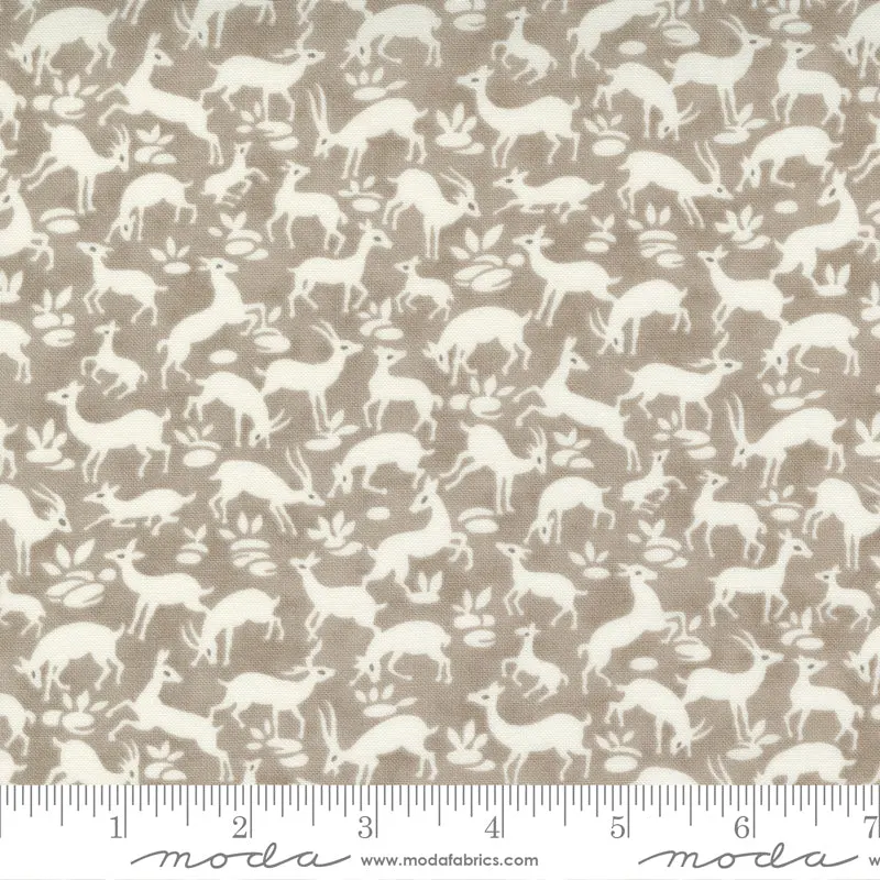 Pumpkin And Blossom Cotton Fabric – Fall-Themed Print 1