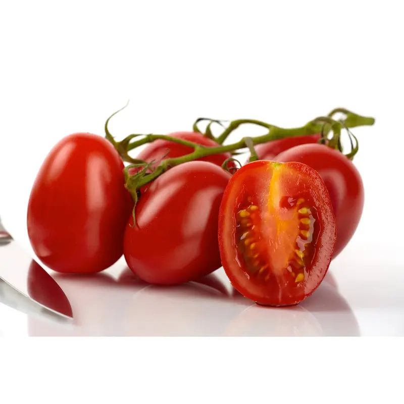 Roma Vf Tomato Seeds – Paste-Type Determinate With Verticillium Resistance (9912600) 1