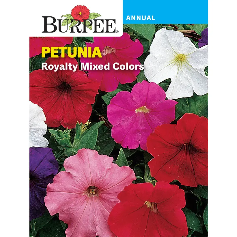 Royalty Petunia Seeds – Large-Flowered, Heat-Tolerant Annual Mix (Sku 39107) 1